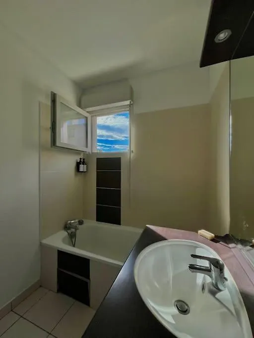 Appartement Chaleureux Villeurbanne Apartment