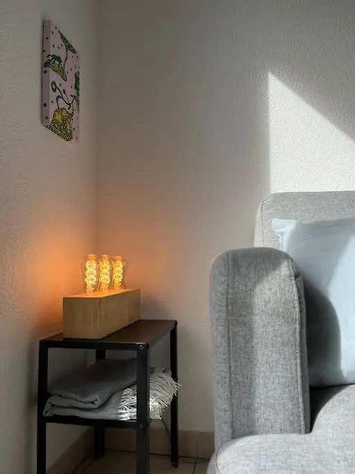 Appartement Chaleureux Villeurbanne 0*,